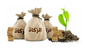 Ancaman Bagi Orang yang Tidak Menunaikan Zakat