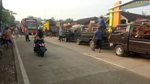 Wabah PMK Meningkat, Dintanpan Rembang Minta Pasar Hewan Ditutup