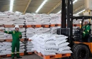 Kebutuhan Pupuk Meningkat Memasuki Musim Tanam Tembakau di Rembang