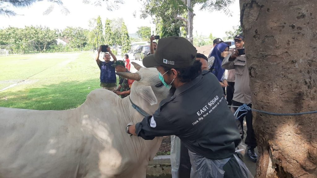 Vaksin PMK Disuntikkan Kepada Sapi Perdana di Desa Pangkalan dan Leran Kecamatan Sluke Rembang