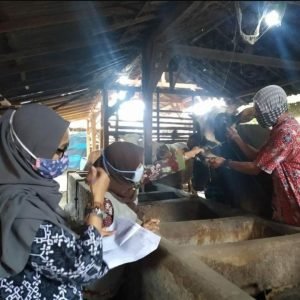 Kabupaten Rembang Telah Lakukan Program Vaksinasi Hewan Ternak di 5 Desa
