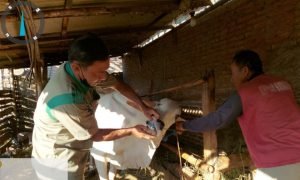 Vaksinasi PMK Rembang Masih Belum Sampai di Kecamatan Sumber