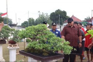Dorong Kebangkitan Ekonomi, Pemkab Rembang Tunjukkan Dukungan Pada Penggemar Tanaman Bonsai