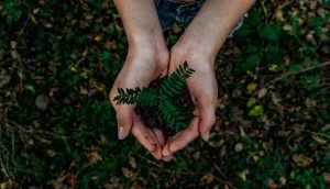 Gaya Hidup Eco Age, Apa Itu ?