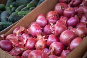 Kegunaan Kulit Bawang Merah Bagi Pertumbuhan Tanaman