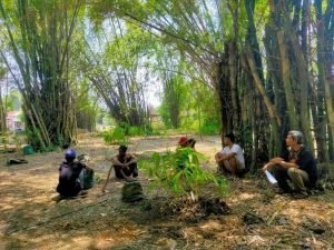 Berbagai Jenis Tanaman Bambu Ada di Kampung Iniori