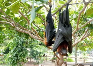 Foto: Suasana wisata Ngulahan Park di Kecamatan Sedan/rembangnews.com/Sri Lestari