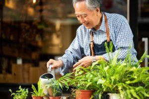 Manfaat Berkebun, Bisa Bikin Umur Panjang/iStock