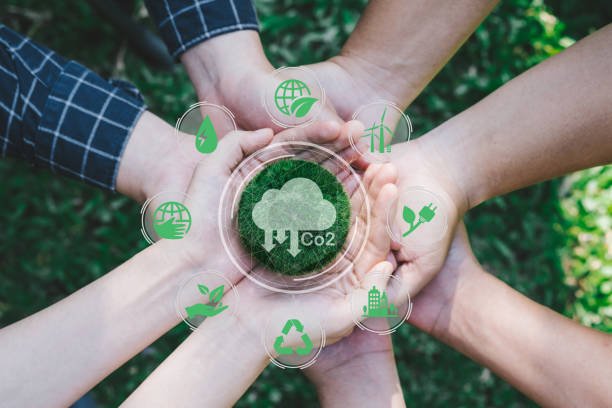 Jokowi Luncurkan Taksonomi Hijau/iStock