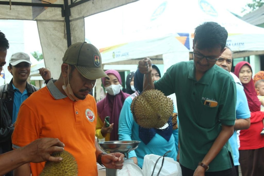 Branding Buah Lokal, Pemkab Akan Gelar Festival Durian