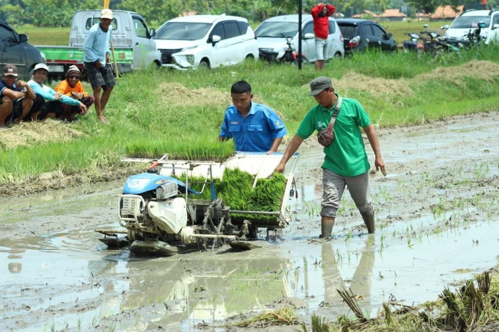 Dintanpan Rembang Tingkatkan Minat Generasi Milenial pada Pertanian Melalui Panen Bersama