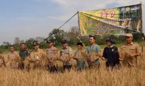 Foto: Panen di Desa Japerejo Kecamatan Pamotan (Sumber: rembangkab)