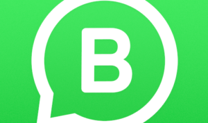 Cara Balas Pesan Otomatis Tanpa WhatsApp Bisnis