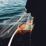 Foto: Ilustrasi kapal nelayan (Sumber: unsplash)