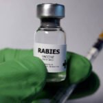 Foto: Ilustrasi vaksin rabies (Sumber: istock)