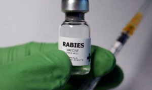 Foto: Ilustrasi vaksin rabies (Sumber: istock)