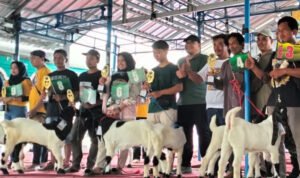 Foto: Kontes Kambing Etawa Gus Hanies Cup (Sumber: rembangkab)