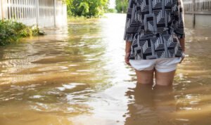 istockphoto 686002594 612x612 1 - Nasional