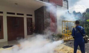 Foto: Ilustrasi kegiatan fogging (Sumber: rembangkab)