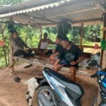 235126c2 93cf 48c5 827e 2ade2cd366e1 768x576 1 - Rembang