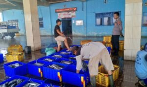 a896f8bb aa4b 4ab9 b7f8 11489cb41f6c 768x576 1 - Rembang