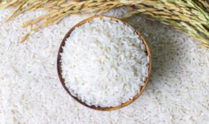 istockphoto 1322613316 612x612 1 - Rembang