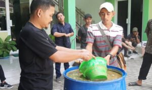 Foto: Pembuatan Pupuk Genderuwo (Sumber: rembangkab)