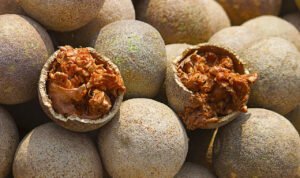 Manfaat Buah Kawista, Cola Van Java Unggulan Rembang