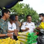 IMG-20240315-WA0028-1 IMG 20240315 WA0028 1 -