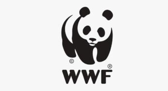 BNPB Terapkan Modifikasi Cuaca untuk Lancarkan WWF di Bali