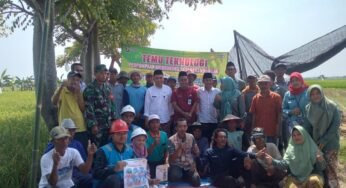 Pemkab Rembang Bakal Sediakan Listrik di Persawahan