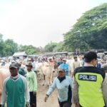 Banyak Pengunjung Pasar Hewan Jelang Iduladha, Pengamanan Dilakukan IMG 20240608 WA0033 768x576 1 - Rembang