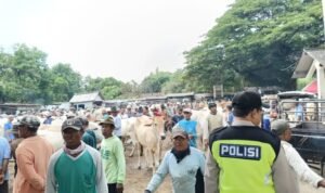 IMG 20240608 WA0033 768x576 1 - Berita