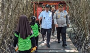 Foto: Wisata Jembatan Merah Hutan Mangrove Rembang (Sumber: rembangkab)