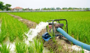 Foto: Ilustrasi pompa air sawah (Sumber: istock)