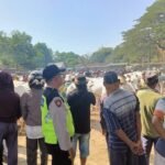 IMG 20240720 WA0011 1 768x576 1 - Pasar Hewan Kragan