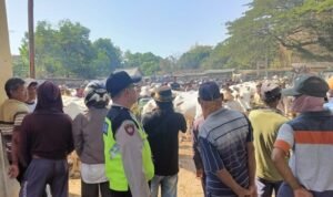 IMG-20240720-WA0011-1-768x576 IMG 20240720 WA0011 1 768x576 1 - Rembang