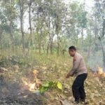 IMG 20240729 WA0053 768x358 1 - Kebakaran Lahan