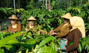 IMG 20240730 WA0025 2 1536x1025 1 - Jawa Tengah