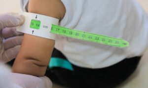 istockphoto 1342643931 612x612 1 - Rembang