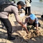 IMG 20240804 WA0031 2 768x432 1 - Mangrove