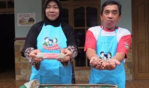 IMG 20240829 WA0017 1160x500 1 - Rembang