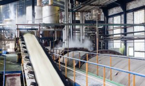 istockphoto 174833904 612x612 1 - Rembang