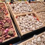 istockphoto 2163509204 612x612 1 - Pasar Tani Rembang