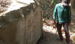 photo_2024-08-14_11-05-22 photo 2024 08 14 11 05 22 - Rembang