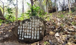 whatsapp image 2024 08 31 at 31 20240831054209 - Rembang