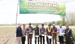 e770461f f648 48f8 a912 21cb0ecae145 768x431 1 - Rembang