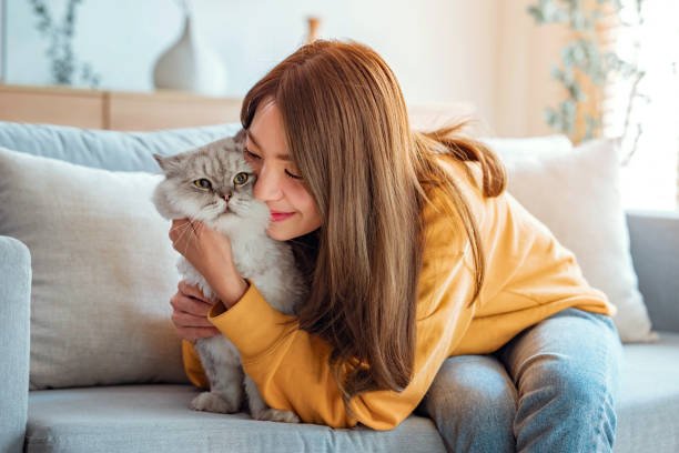 istockphoto 1567312015 612x612 1 -