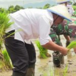 IMG 20241218 WA0070 1170x500 1 - Musim Tanam
