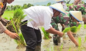 IMG-20241218-WA0070-1170x500 IMG 20241218 WA0070 1170x500 1 - Rembang